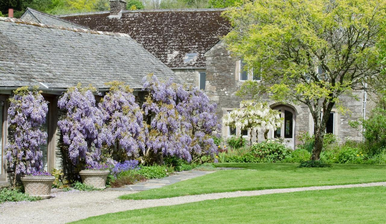 Hotel Cider House Yelverton Exterior foto